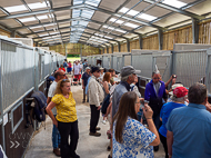 BP080722-117 - Owner touring the stable blocks